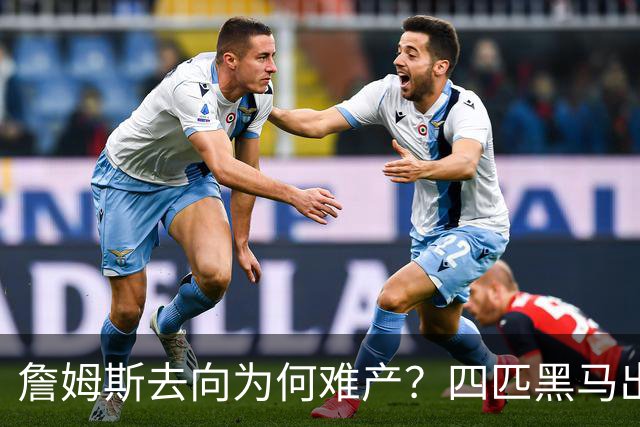 詹姆斯去向为何难产？四匹黑马出现加剧混乱